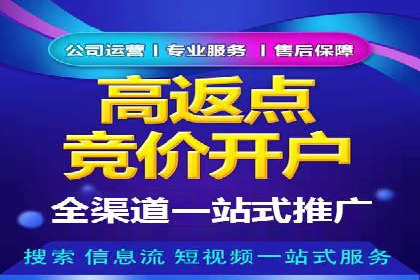竞价代运营成功案例解析